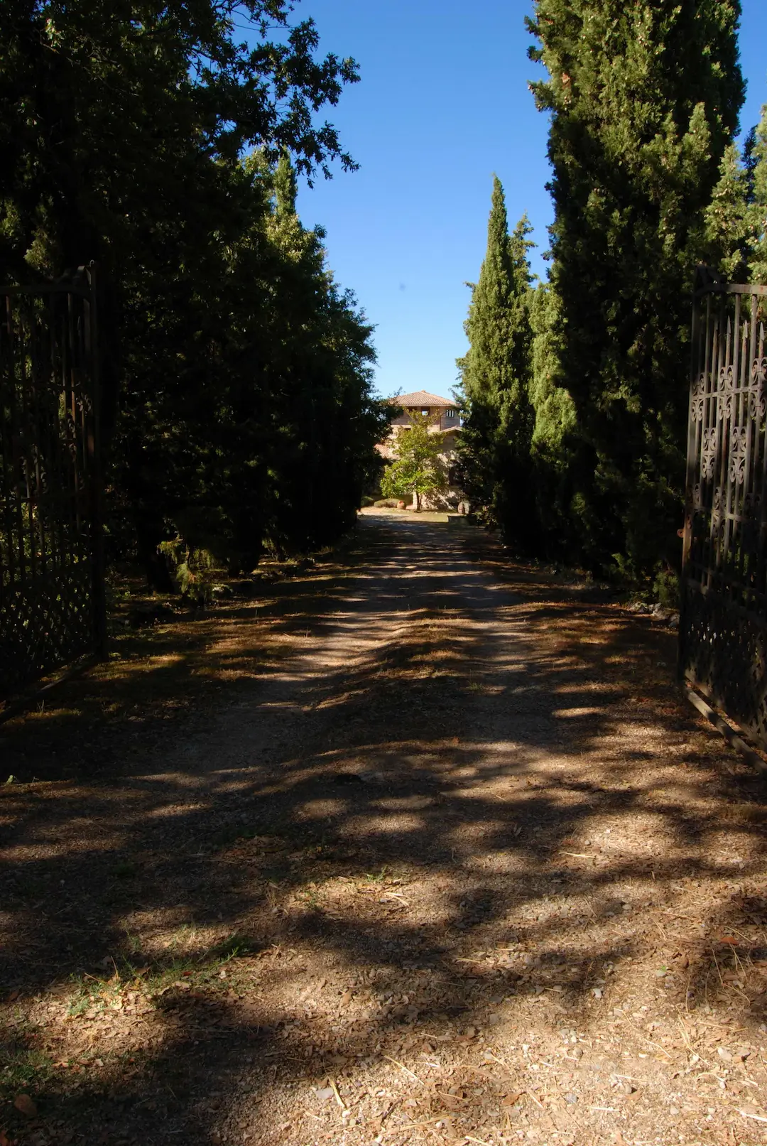 viale ingresso